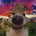 Avatar de ishui