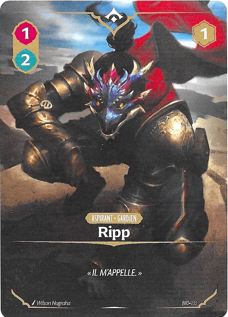 Ripp