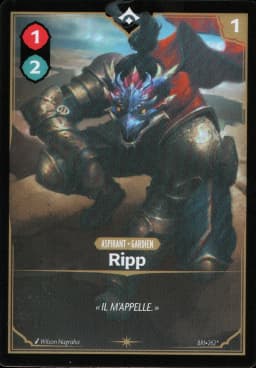Ripp